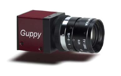 Guppy Interlaced Machine Vision Camera